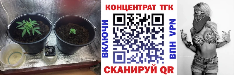 ТГК Wax  Саянск 